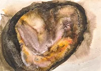 Abstraktes Aquarell mit einer unregelmäßigen ovalen Form in Braun-, Gelb- und Orangetönen mit dunkler Kontur, die ein strukturiertes, organisches Aussehen auf hellem Hintergrund erzeugt.