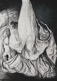 Kohlezeichnung einer großen, zentralen organischen Form, die an ein Blütenblatt oder einen Pilz erinnert, umgeben von gefalteten, strukturierten Schichten. Dunkle Schattierungen kontrastieren mit helleren Lichtern, wodurch Tiefe und dramatische Schatten entstehen.