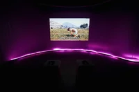 Ein dunkler Raum mit violetter Beleuchtung und einem gebogenen LED-Streifen an der Wand. Auf einem großen Bildschirm ist eine Videospielszene zu sehen, in der eine Person im Gras kniet, im Hintergrund Berge. Zwei Sitze mit Headsets sind dem Bildschirm zugewandt.