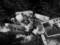 Ein Stapel alter Schwarzweißfotos, die verstreut im Gras liegen und Bilder von Gebäuden, Menschen und Tieren in ländlicher Umgebung zeigen.
