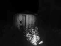 Ein Schwarzweißbild eines kleinen Holzschuppens, umgeben von hohen Pflanzen und Sonnenblumen bei Nacht. Eine Taschenlampe beleuchtet die Vegetation im Vordergrund. Der Hintergrund ist dunkel und schattig.