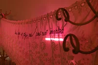 Ein transparenter Spitzenvorhang mit Blumenmuster hängt an einem Ständer und wird von rosa Licht beleuchtet. Darauf ist handschriftlich vermerkt: „Es gab eine Party und ich war nicht eingeladen.“.