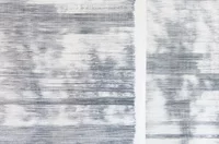 Abstraktes Strukturmuster mit horizontalen schwarzen und grauen Linien auf weißem Hintergrund, das einen verschwommenen, gestreiften Effekt erzeugt. Ein vertikaler weißer Streifen unterteilt das Bild in zwei Abschnitte mit ähnlichen linearen Mustern.