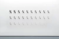 Ein Raster aus fünf Zeilen und sechs Spalten zeigt 30 schwarz-weiße Vogelillustrationen auf einer weißen Wand. Die Zeichnungen verblassen allmählich von links nach rechts und sind am Ende jeder Zeile fast unsichtbar.