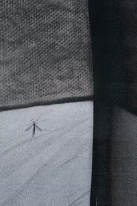 Eine Nahaufnahme einer Mücke, die auf einer Netzoberfläche ruht, wobei Licht und Schatten im Hintergrund geometrische Muster erzeugen.