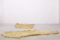 Zwei große, unregelmäßige flache Objekte aus hellem, durchscheinendem Material liegen flach auf einem grauen Betonboden in einem kargen, weißwandigen Raum. Die Platten haben gezackte, unebene Kanten und eine strukturierte Oberfläche.